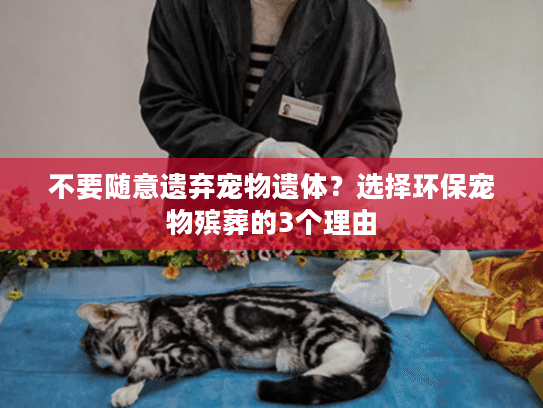 不要随意遗弃宠物遗体？选择环保宠物殡葬的3个理由