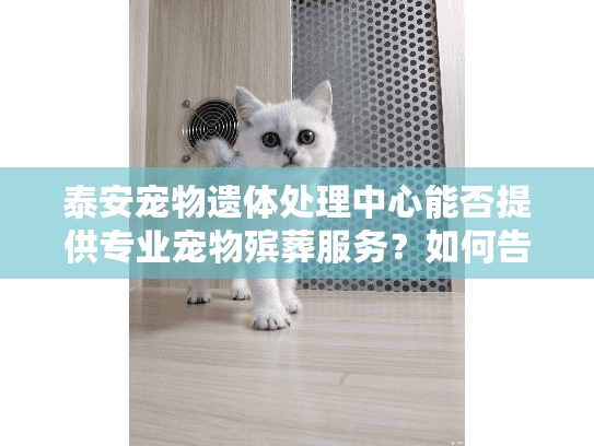泰安宠物遗体处理中心能否提供专业宠物殡葬服务？如何告别爱宠更安心