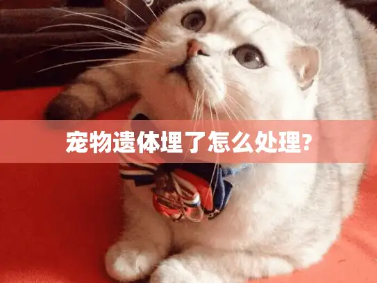 宠物遗体埋了怎么处理?