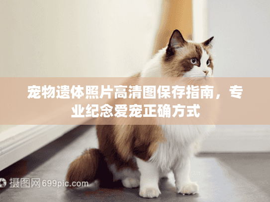 宠物遗体照片高清图保存指南,专业纪念爱宠正确方式 宠物遗体照片高清图保存指南,专业纪念爱宠正确方式