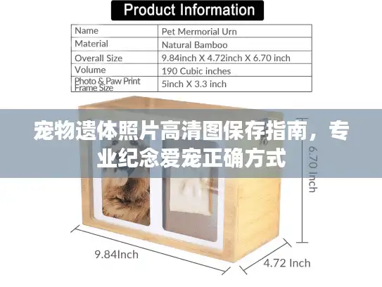 宠物遗体照片高清图保存指南,专业纪念爱宠正确方式 宠物遗体照片高清图保存指南,专业纪念爱宠正确方式