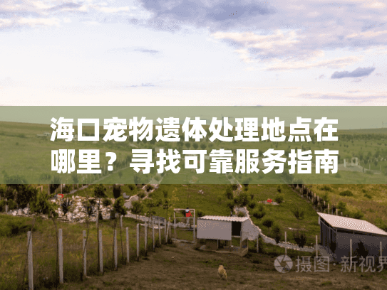 海口宠物遗体处理地点在哪里?寻找可靠服务指南 海口宠物遗体处理地点在哪里?寻找可靠服务指南