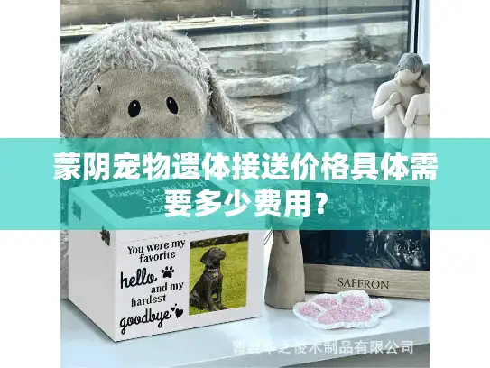蒙阴宠物遗体接送价格具体需要多少费用？