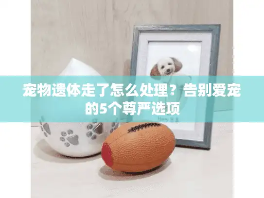 宠物遗体走了怎么处理?告别爱宠的5个尊严选项 宠物遗体走了怎么处理?告别爱宠的5个尊严选项