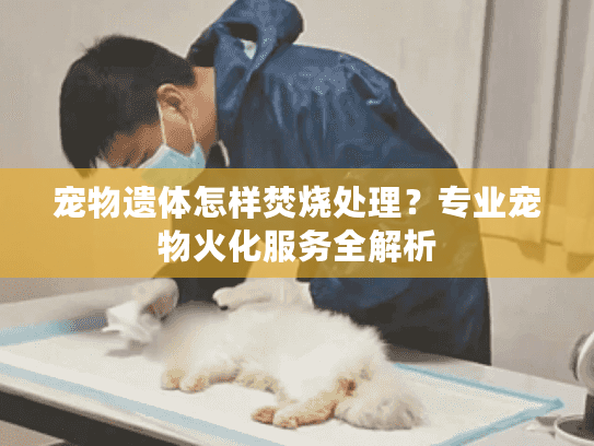 宠物遗体怎样焚烧处理？专业宠物火化服务全解析