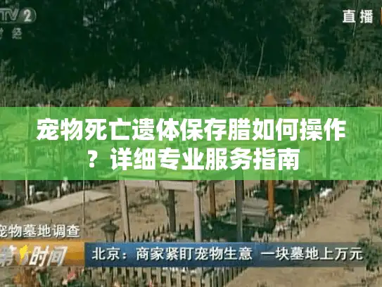 宠物死亡遗体保存腊如何操作？详细专业服务指南