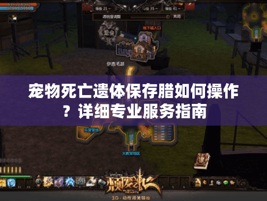 宠物死亡遗体保存腊如何操作？详细专业服务指南