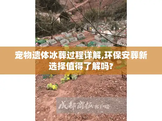 宠物遗体冰葬过程详解,环保安葬新选择值得了解吗?