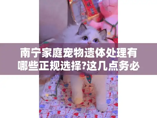 南宁家庭宠物遗体处理有哪些正规选择?这几点务必提前了解!