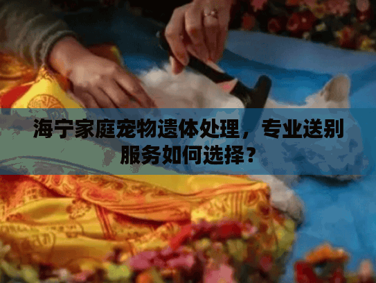 海宁家庭宠物遗体处理，专业送别服务如何选择？