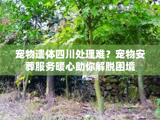 宠物遗体四川处理难?宠物安葬服务暖心助你解脱困境 宠物遗体四川处理难?宠物安葬服务暖心助你解脱困境
