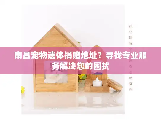 南昌宠物遗体捐赠地址？寻找专业服务解决您的困扰