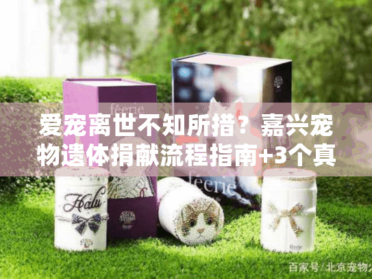 爱宠离世不知所措？嘉兴宠物遗体捐献流程指南+3个真实案例解读