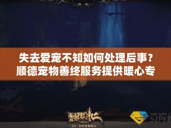 失去爱宠不知如何处理后事？顺德宠物善终服务提供暖心专业方案