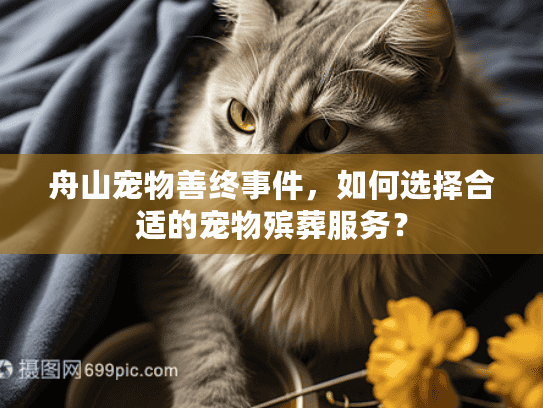 舟山宠物善终事件,如何选择合适的宠物殡葬服务? 舟山宠物善终事件,如何选择合适的宠物殡葬服务?
