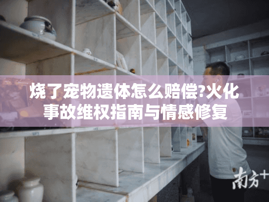 烧了宠物遗体怎么赔偿?火化事故维权指南与情感修复 烧了宠物遗体怎么赔偿?火化事故维权指南与情感修复