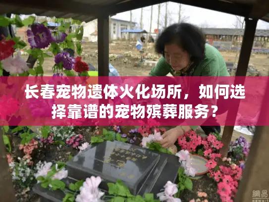 长春宠物遗体火化场所，如何选择靠谱的宠物殡葬服务？