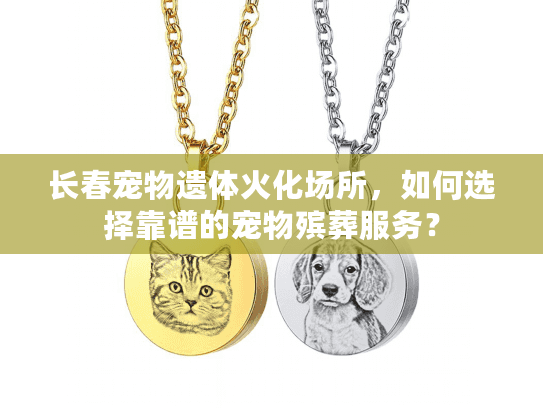 长春宠物遗体火化场所，如何选择靠谱的宠物殡葬服务？