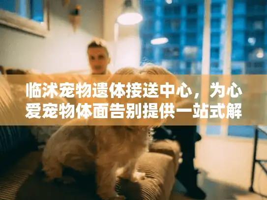临沭宠物遗体接送中心，为心爱宠物体面告别提供一站式解决方案