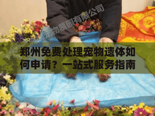 郑州免费处理宠物遗体如何申请？一站式服务指南