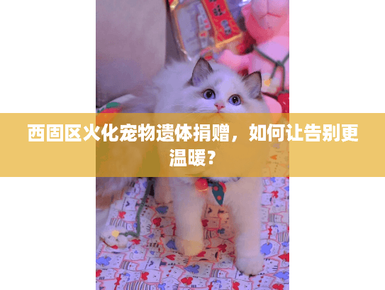 西固区火化宠物遗体捐赠，如何让告别更温暖？