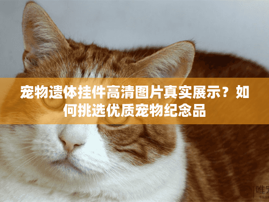 宠物遗体挂件高清图片真实展示？如何挑选优质宠物纪念品