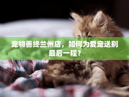 宠物善终兰州店，如何为爱宠送别最后一程？