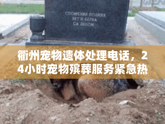 衢州宠物遗体处理电话,24小时宠物殡葬服务紧急热线 衢州宠物遗体处理电话,24小时宠物殡葬服务紧急热线