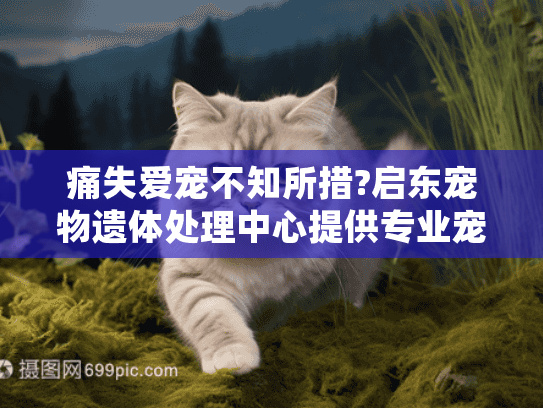 痛失爱宠不知所措?启东宠物遗体处理中心提供专业宠物遗体善终服务