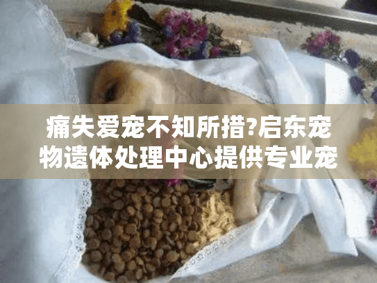 痛失爱宠不知所措?启东宠物遗体处理中心提供专业宠物遗体善终服务