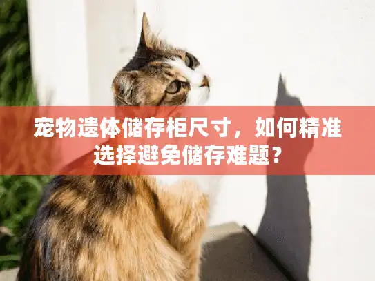 宠物遗体储存柜尺寸,如何精准选择避免储存难题? 宠物遗体储存柜尺寸,如何精准选择避免储存难题?