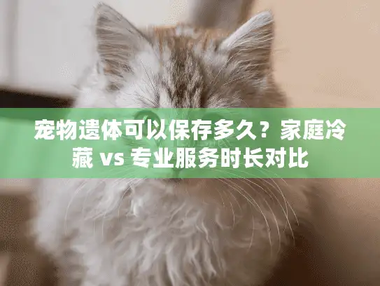 宠物遗体可以保存多久?家庭冷藏 vs 专业服务时长对比 宠物遗体可以保存多久?家庭冷藏 vs 专业服务时长对比