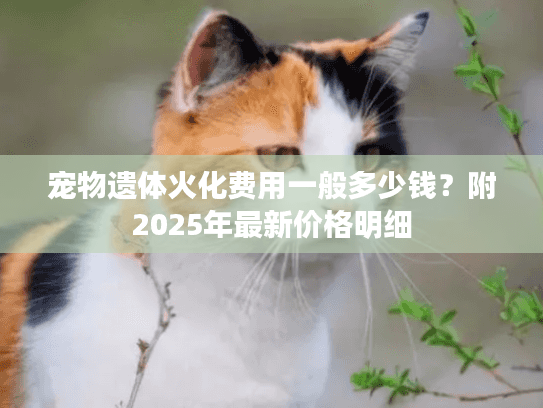 宠物遗体火化费用一般多少钱？附2025年最新价格明细