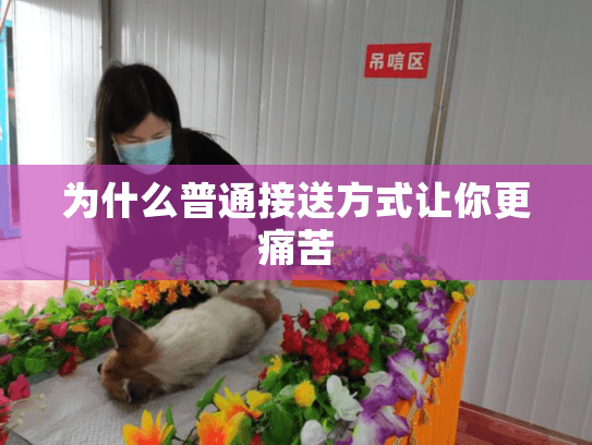 为什么普通接送方式让你更痛苦