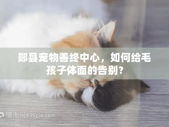 郧县宠物善终中心,如何给毛孩子体面的告别? 郧县宠物善终中心,如何给毛孩子体面的告别?