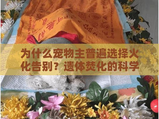 为什么宠物主普遍选择火化告别？遗体焚化的科学真相