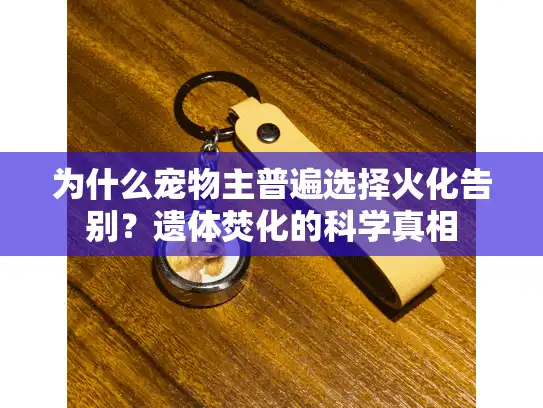为什么宠物主普遍选择火化告别？遗体焚化的科学真相