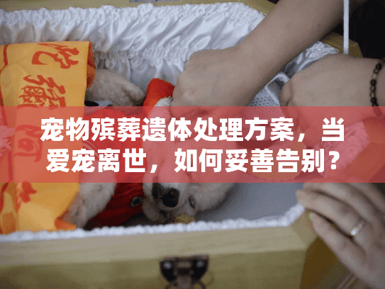 宠物殡葬遗体处理方案，当爱宠离世，如何妥善告别？
