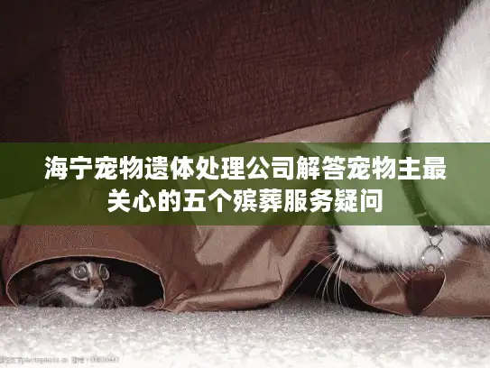 海宁宠物遗体处理公司解答宠物主最关心的五个殡葬服务疑问