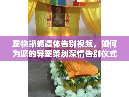 宠物蜥蜴遗体告别视频,如何为您的异宠策划深情告别仪式 宠物蜥蜴遗体告别视频,如何为您的异宠策划深情告别仪式