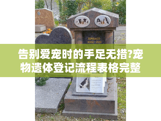 告别爱宠时的手足无措?宠物遗体登记流程表格完整指南 告别爱宠时的手足无措?宠物遗体登记流程表格完整指南