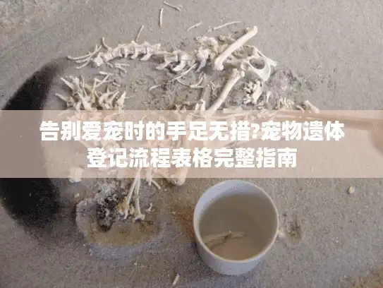 告别爱宠时的手足无措?宠物遗体登记流程表格完整指南 告别爱宠时的手足无措?宠物遗体登记流程表格完整指南