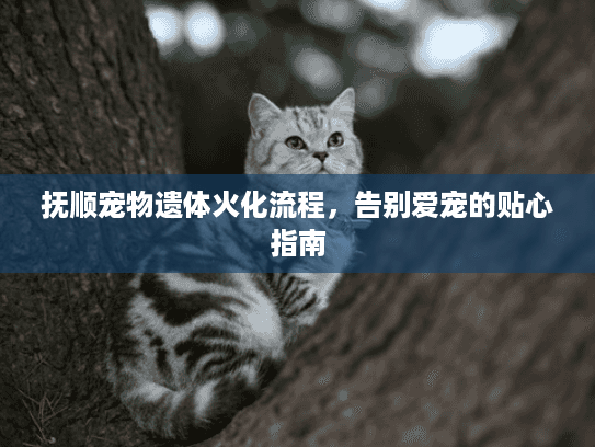抚顺宠物遗体火化流程，告别爱宠的贴心指南