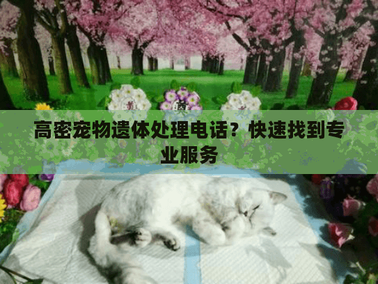 高密宠物遗体处理电话？快速找到专业服务