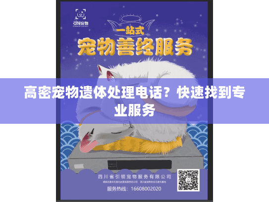 高密宠物遗体处理电话？快速找到专业服务