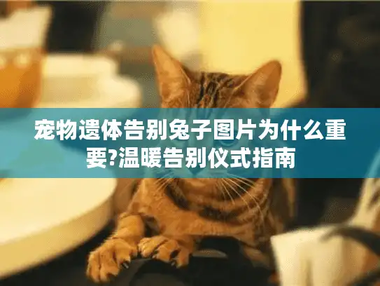 宠物遗体告别兔子图片为什么重要?温暖告别仪式指南