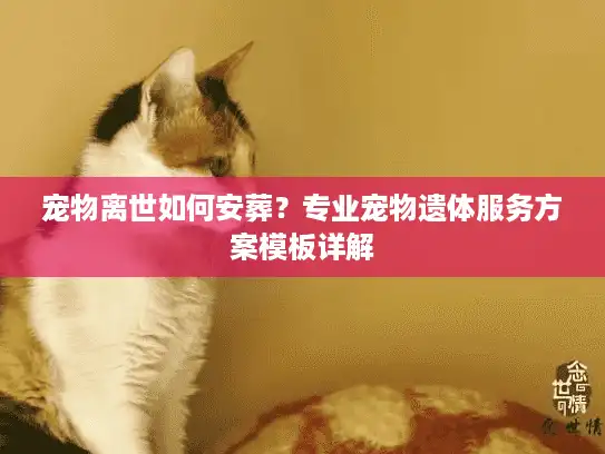 宠物离世如何安葬?专业宠物遗体服务方案模板详解 宠物离世如何安葬?专业宠物遗体服务方案模板详解