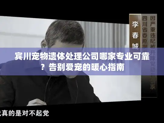 宾川宠物遗体处理公司哪家专业可靠？告别爱宠的暖心指南