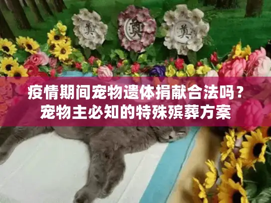 疫情期间宠物遗体捐献合法吗？宠物主必知的特殊殡葬方案