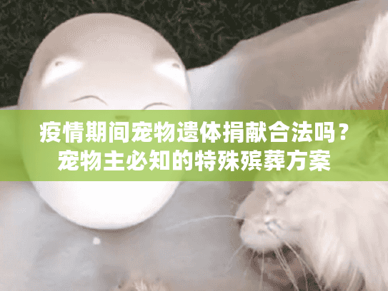 疫情期间宠物遗体捐献合法吗？宠物主必知的特殊殡葬方案
